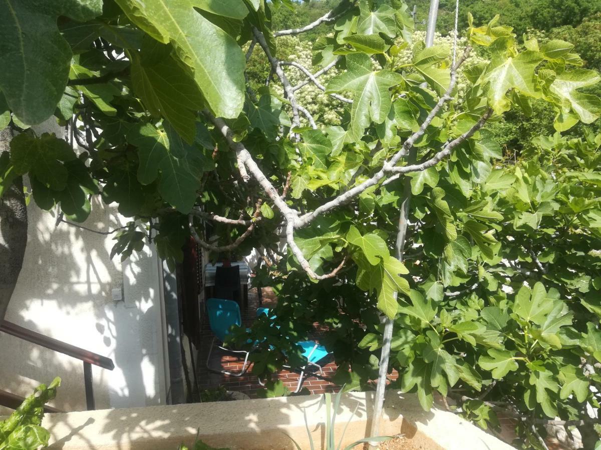 Legac Apartma *