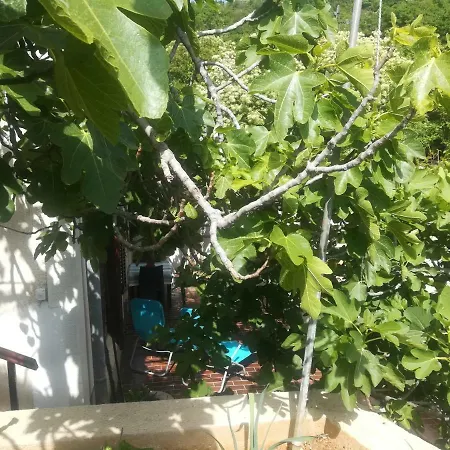 Apartman Legac Starigrad  Exterior photo